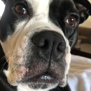 Meet your Posher, Brooke